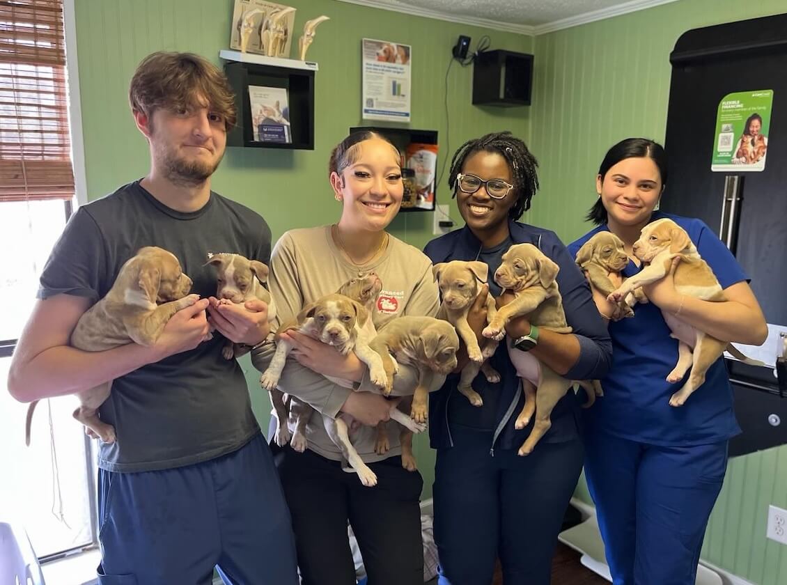 The team at Advanced Veterinary Care of Vestavia