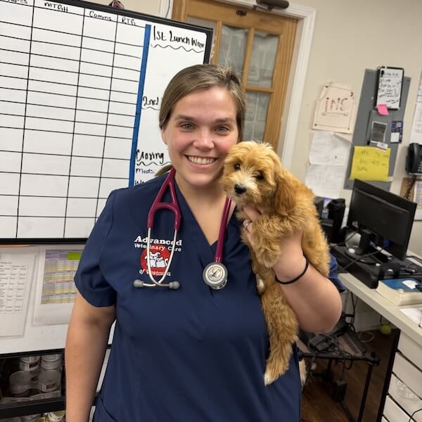Dr. Morrison