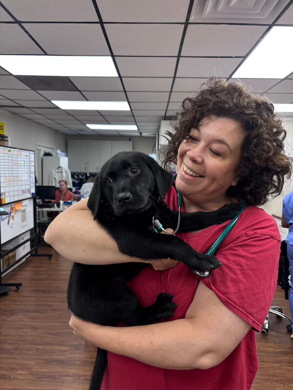 Cute puppy with a staff member