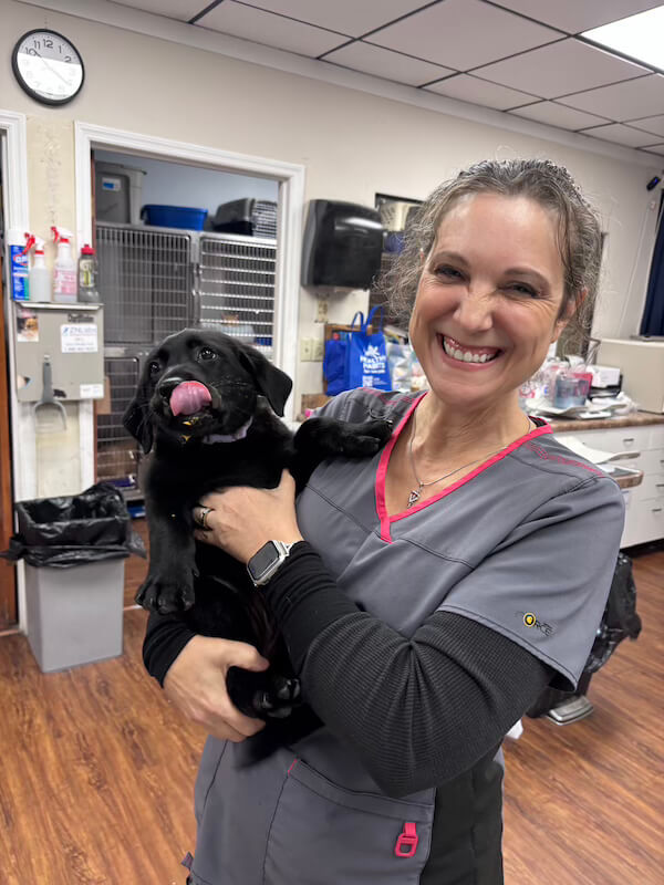 Vet with patient